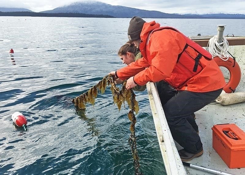 Personer i orangea jackor lyfter upp tång från havet vid en båt