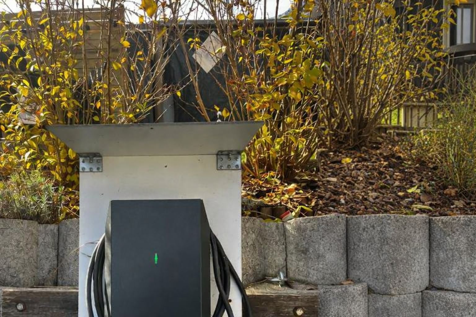 Svart Zaptec laddbox installerad utomhus med synliga kablar bland höstbuskar.